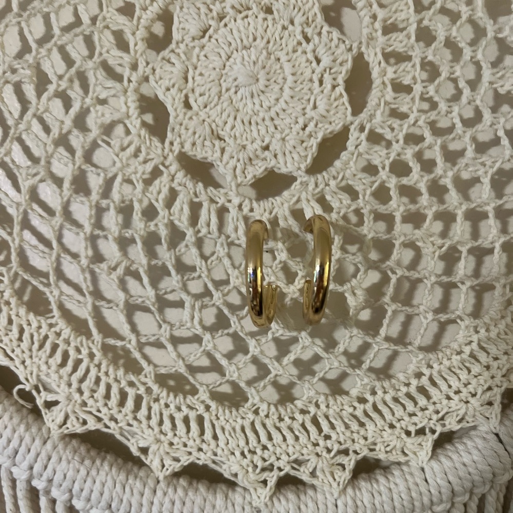 Hoop Earrings